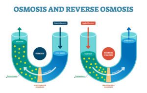 A vector illustration demonstrating how reverse osmosis works.