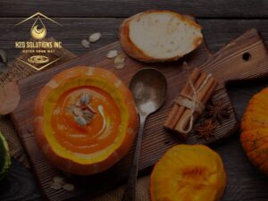 Photo of soup in a pumpkin bowl and the H2O Solutions logo